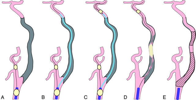 Fig 1.