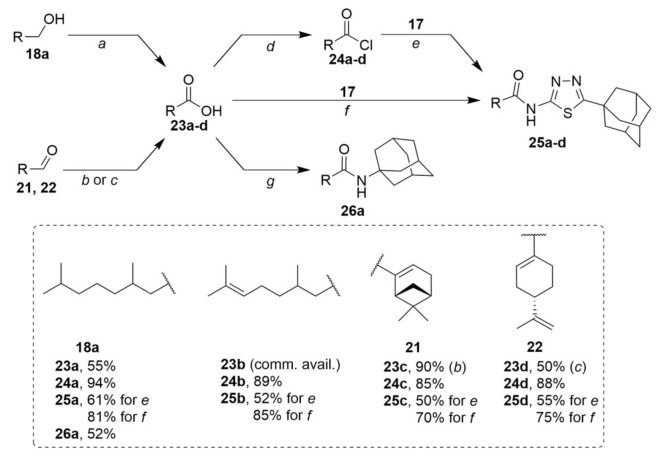 Scheme 3