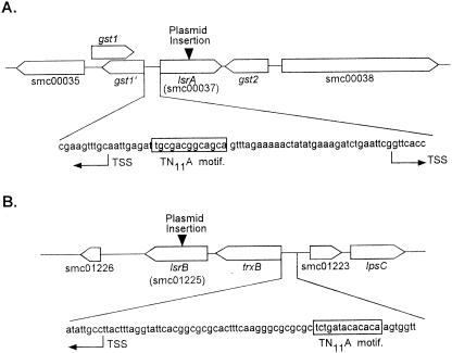 FIG. 5.