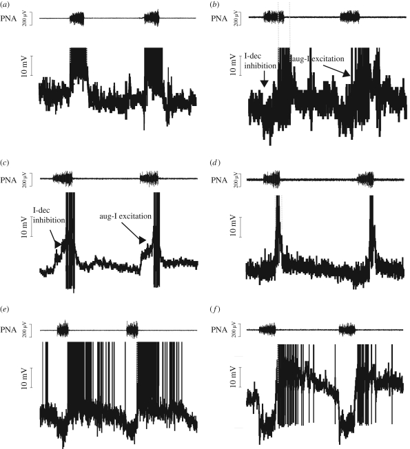 Figure 2.