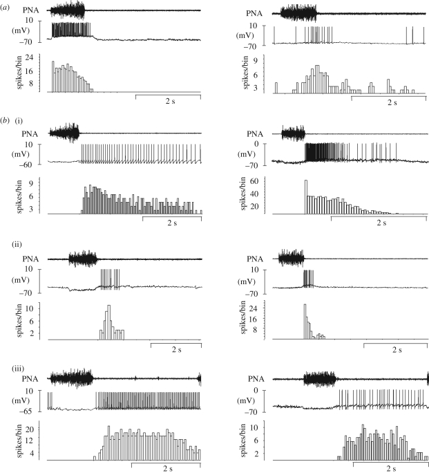 Figure 1.