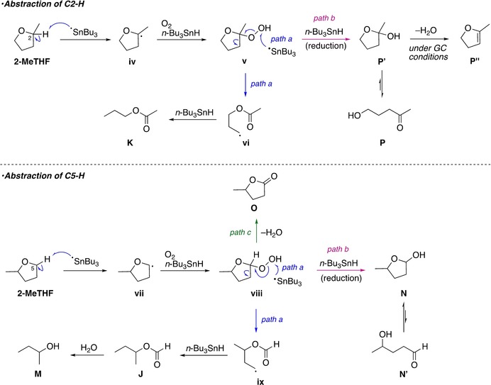 Scheme 4