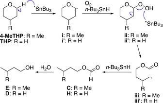 Scheme 3