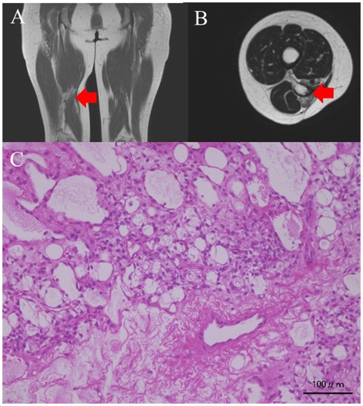 Figure 2.