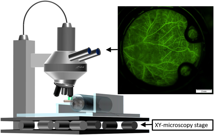 Fig. 2