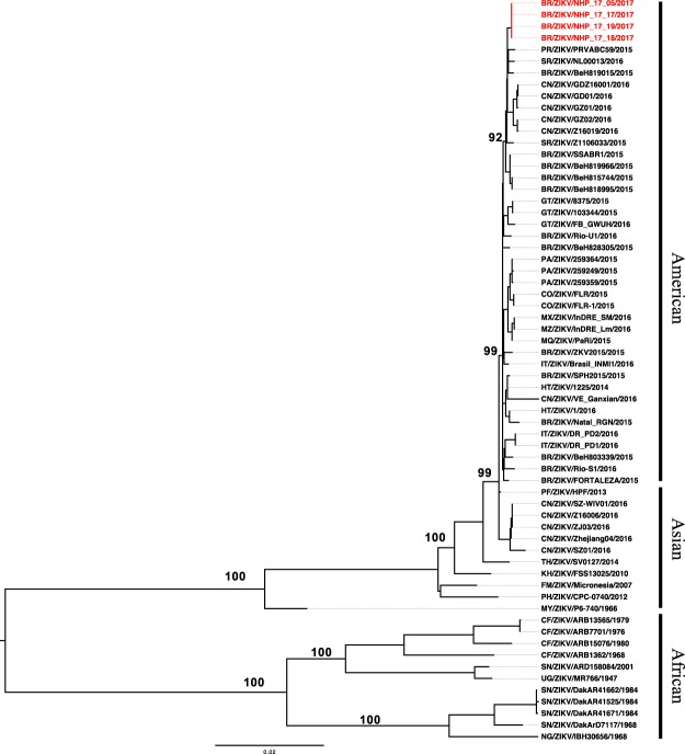 Figure 2