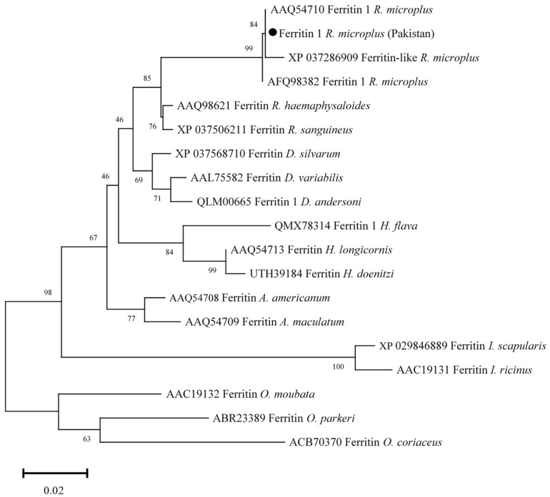 Figure 6