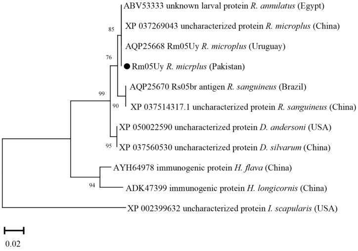 Figure 10