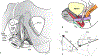 Fig 4.
