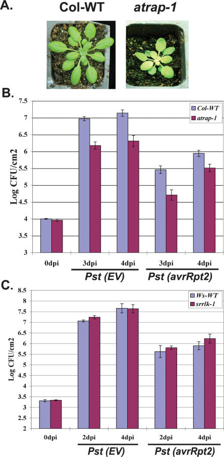 Figure 5.