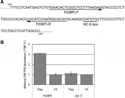 Figure 7.