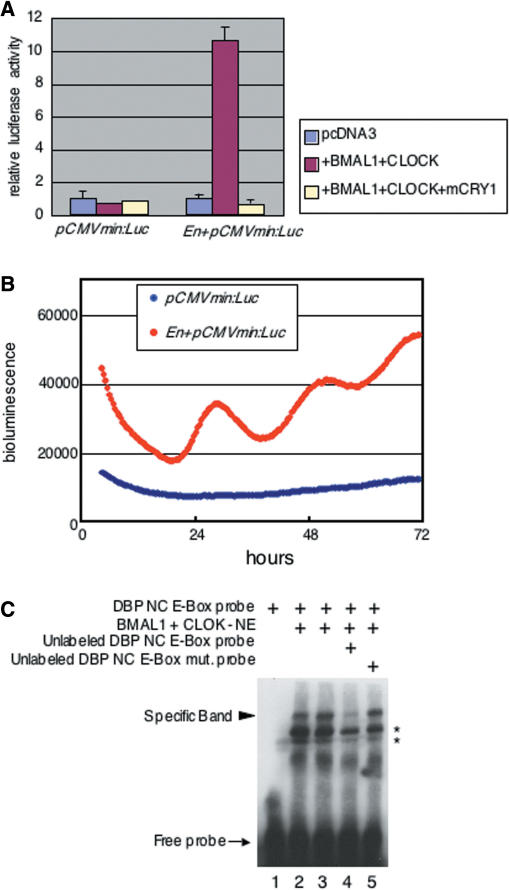 Figure 6.