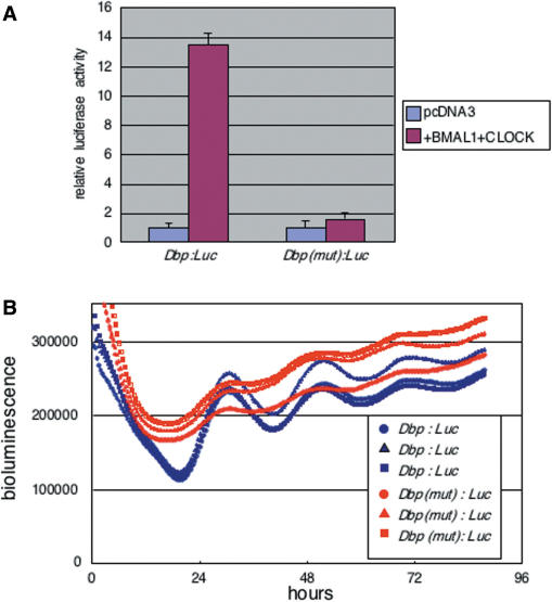 Figure 5.