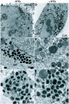 FIG.9.