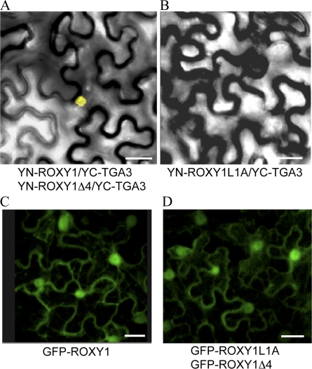 Figure 3.