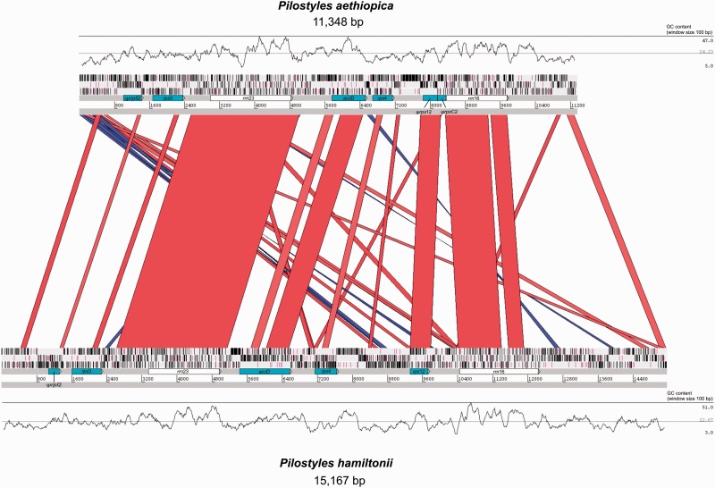 Fig. 3.—