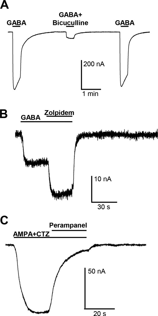 Fig. 6