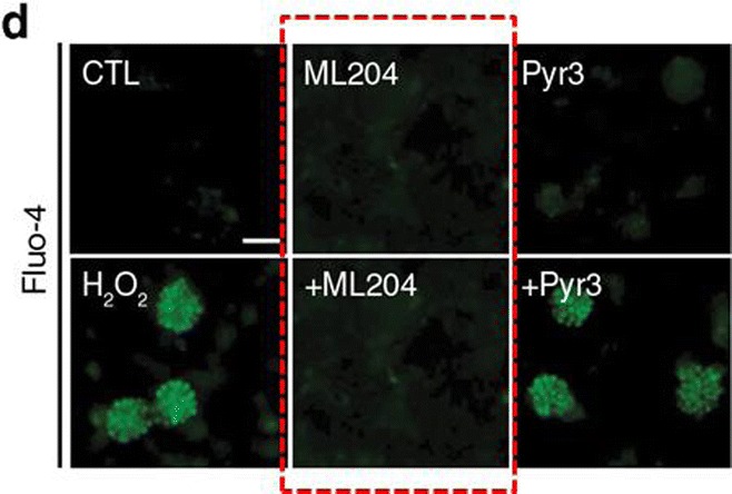 graphic file with name 12035_2018_1447_Figc_HTML.jpg