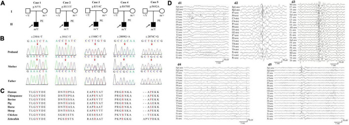 FIGURE 1