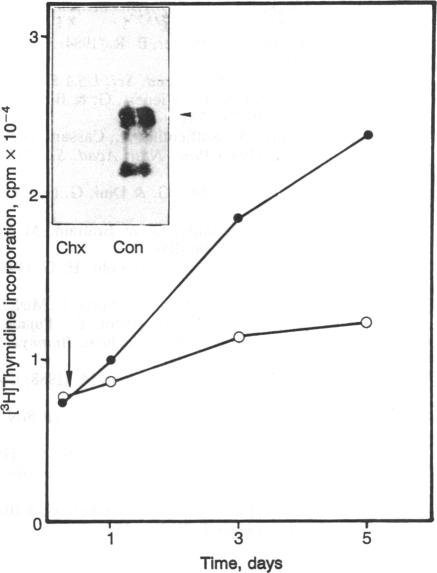 graphic file with name pnas00281-0220-a.jpg