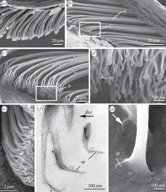 Figure 1.