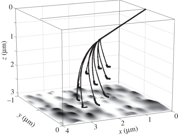 Figure 2.