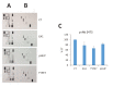 Figure 4—figure supplement 3.