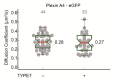 Figure 4—figure supplement 2.