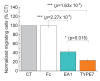 Figure 3—figure supplement 1.