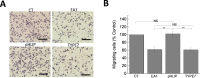 Figure 3—figure supplement 3.