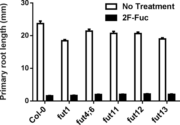 Fig 5