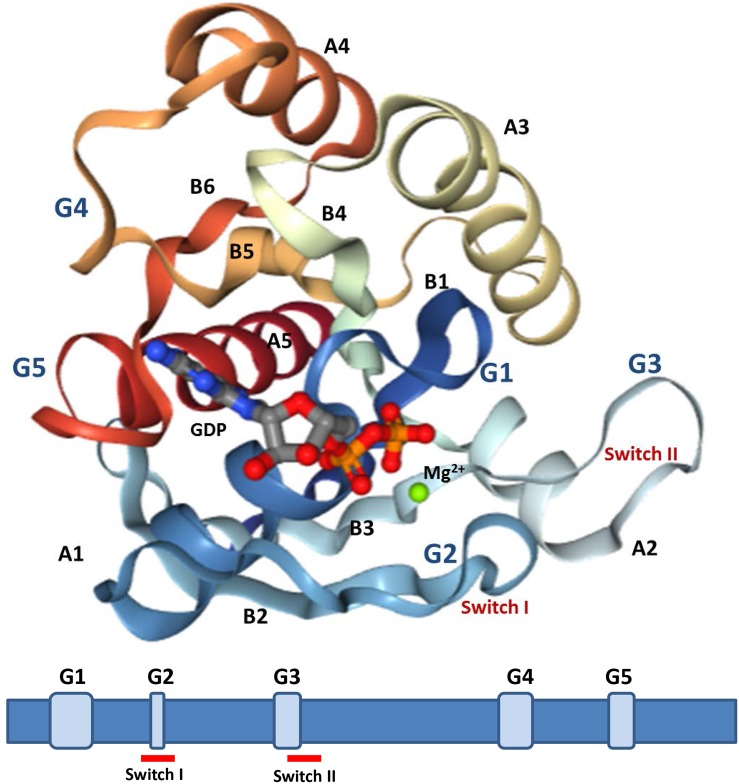 FIGURE 3