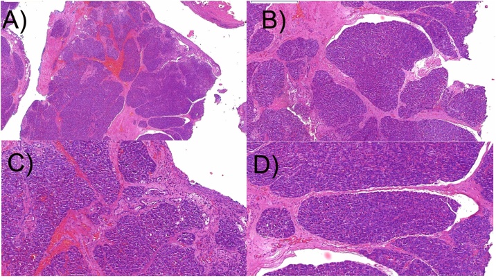 Fig. 5