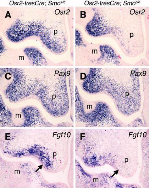 Fig. 9