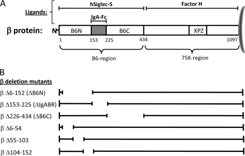 FIGURE 1.