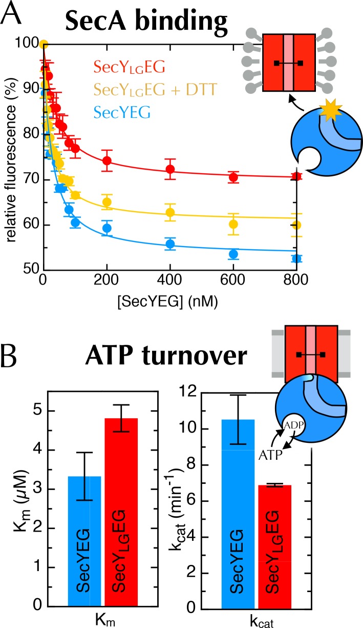 Figure 6—figure supplement 3.