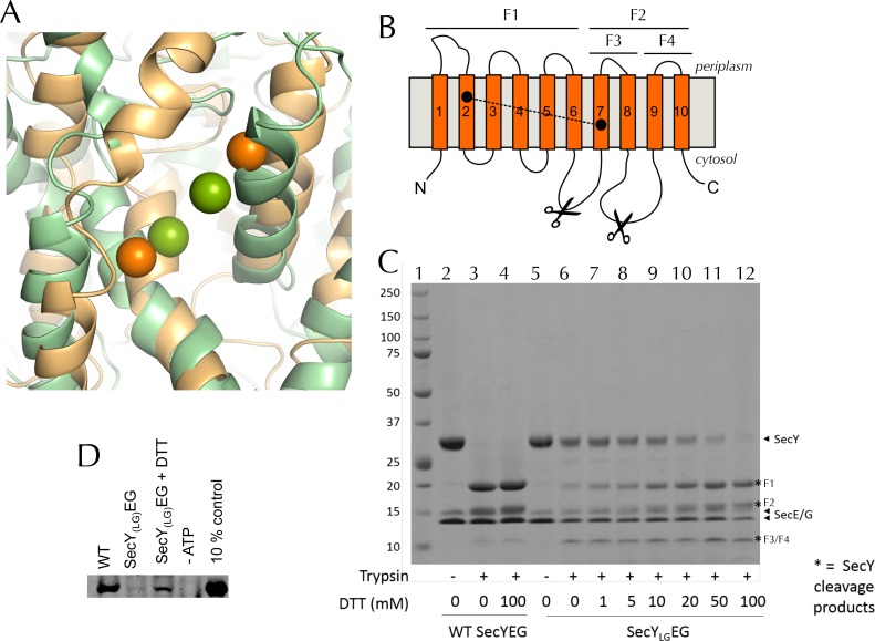 Figure 6—figure supplement 2.