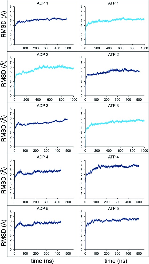 Figure 2—figure supplement 1.