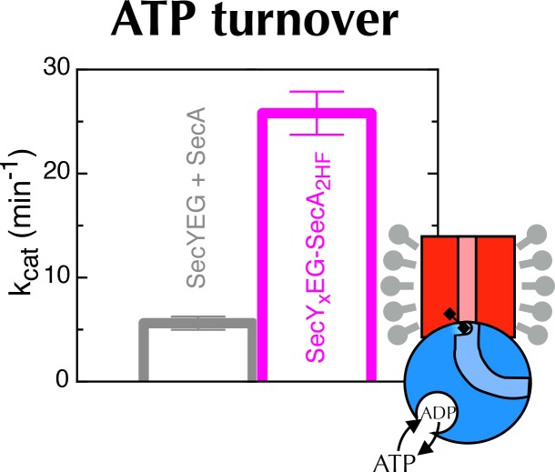 Figure 7—figure supplement 1.