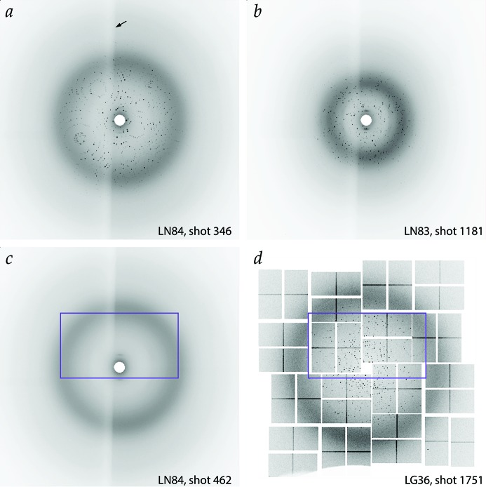 Figure 6