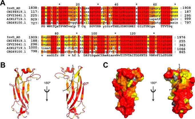 Figure 3.