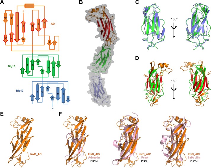 Figure 2.