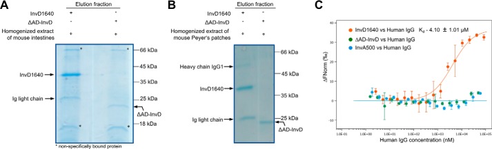 Figure 7.