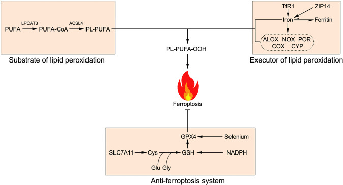 Fig. 2