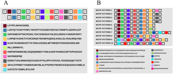 Figure 3.