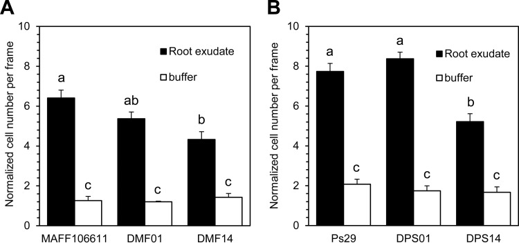 FIG 4