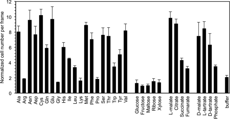 FIG 1