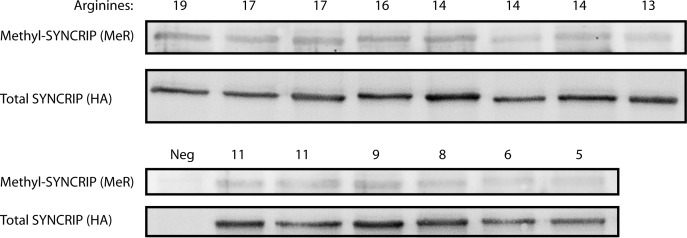 Figure S6.