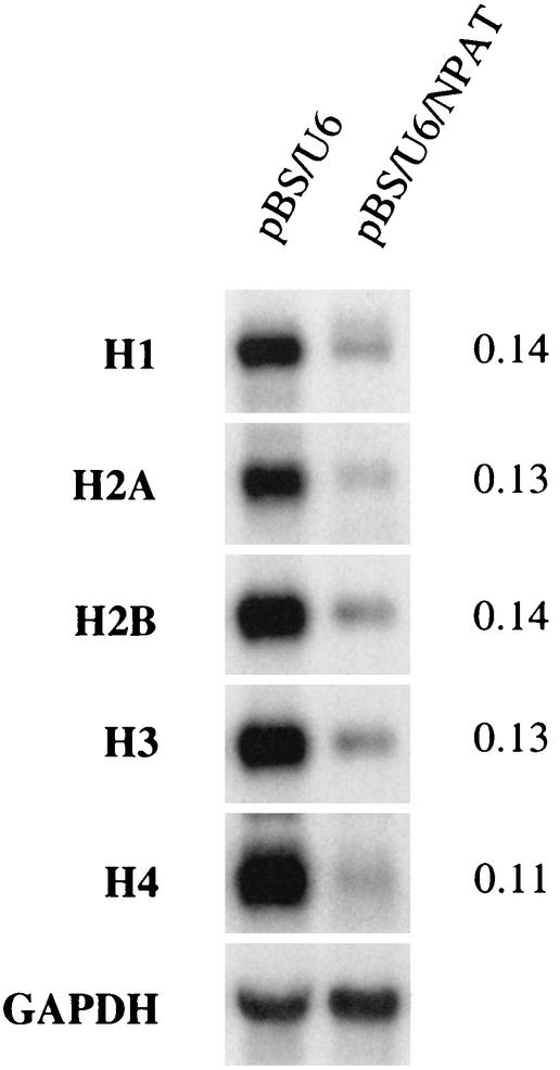 FIG. 10.