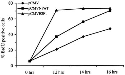 FIG. 7.